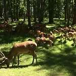 Chateau-ferme Des Abys Ferienhaus Paliseul