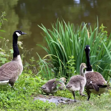 Ferienhaus Chateau-ferme Des Abys *
